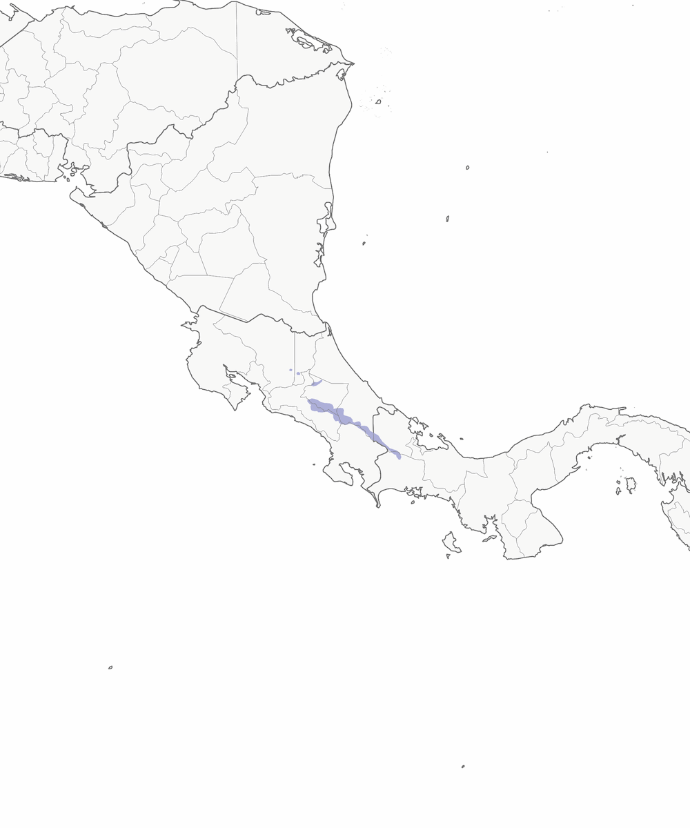 Unspotted Saw-whet Owl, Distribution 1