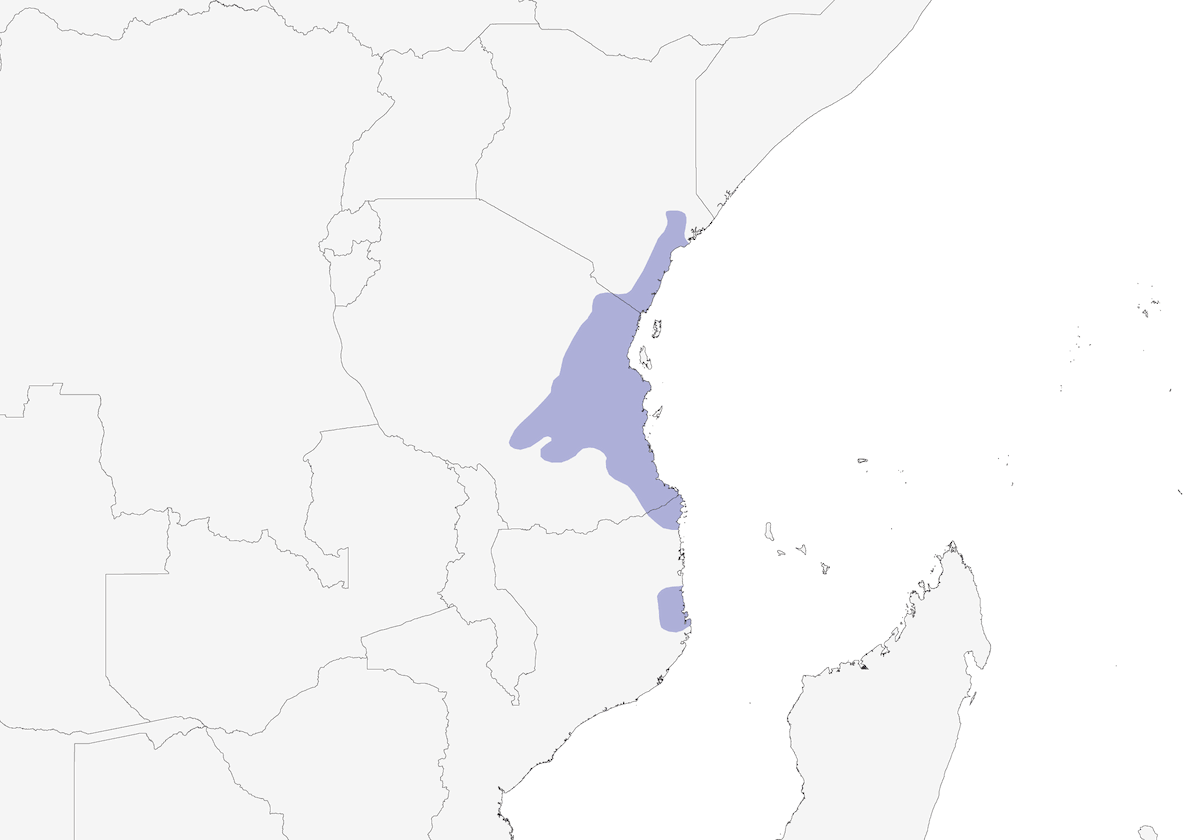 Uluguru Violet-backed Sunbird, Distribution 1