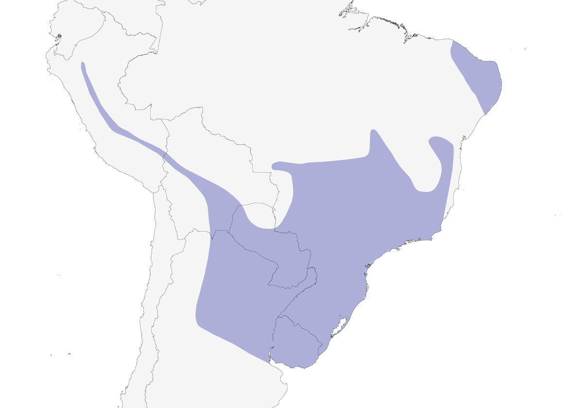 Variable Antshrike, Distribution 1