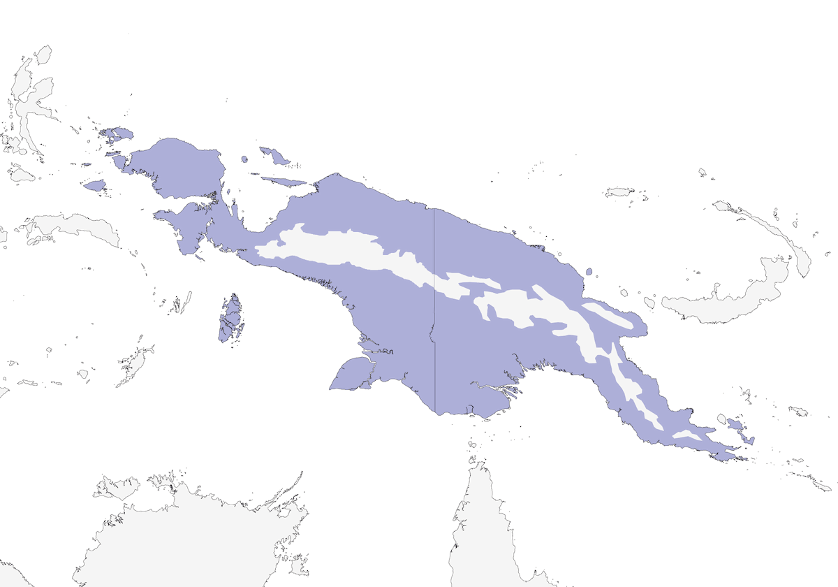 Papua-Zwergfischer, Verbreitung 1