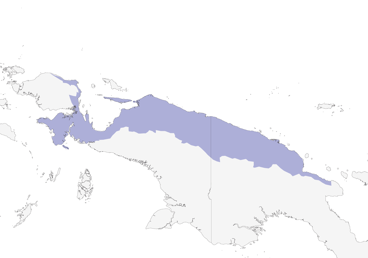Northern Variable Pitohui, Distribution 1