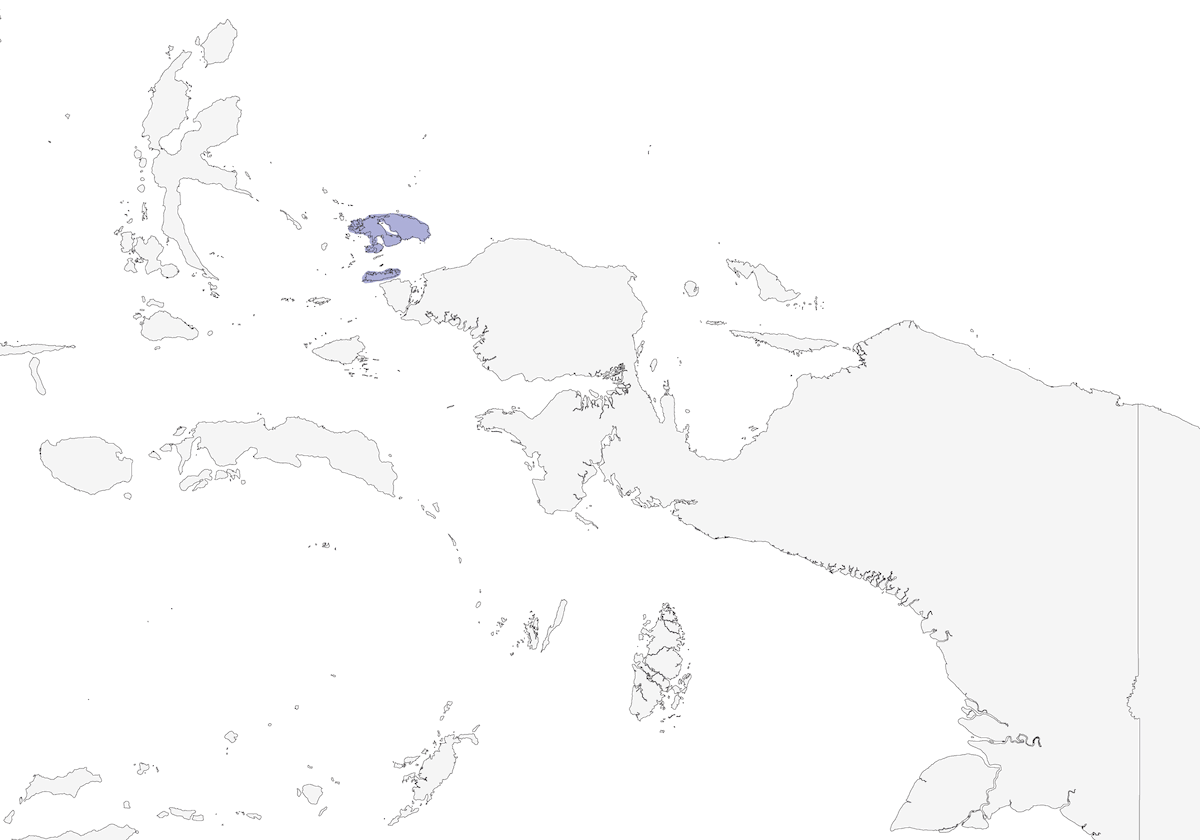 Pitohui de Raja Ampat, Distribución 1