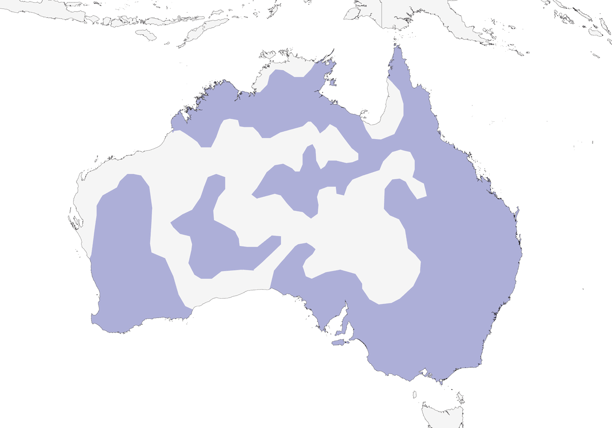 Sittella varia, Distribuzione 1