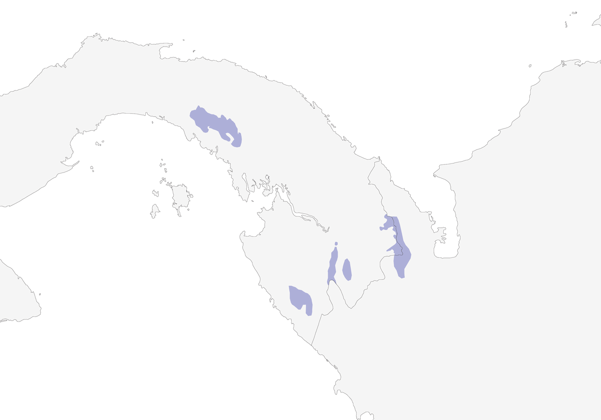 Solitario variopinto, Distribuzione 1