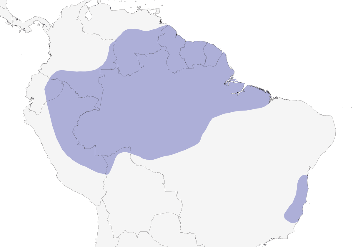 Tinamou varié, Distribution 1