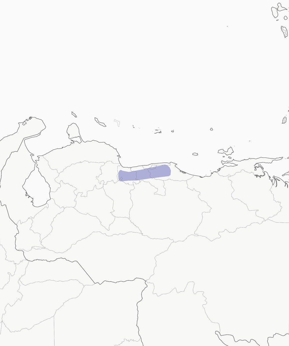 Venezuela-Haubentyrann, Verbreitung 1