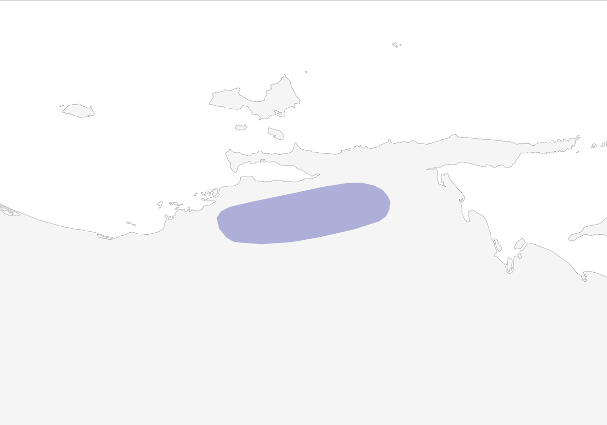 Sylphe de Berlepsch, Distribution 1