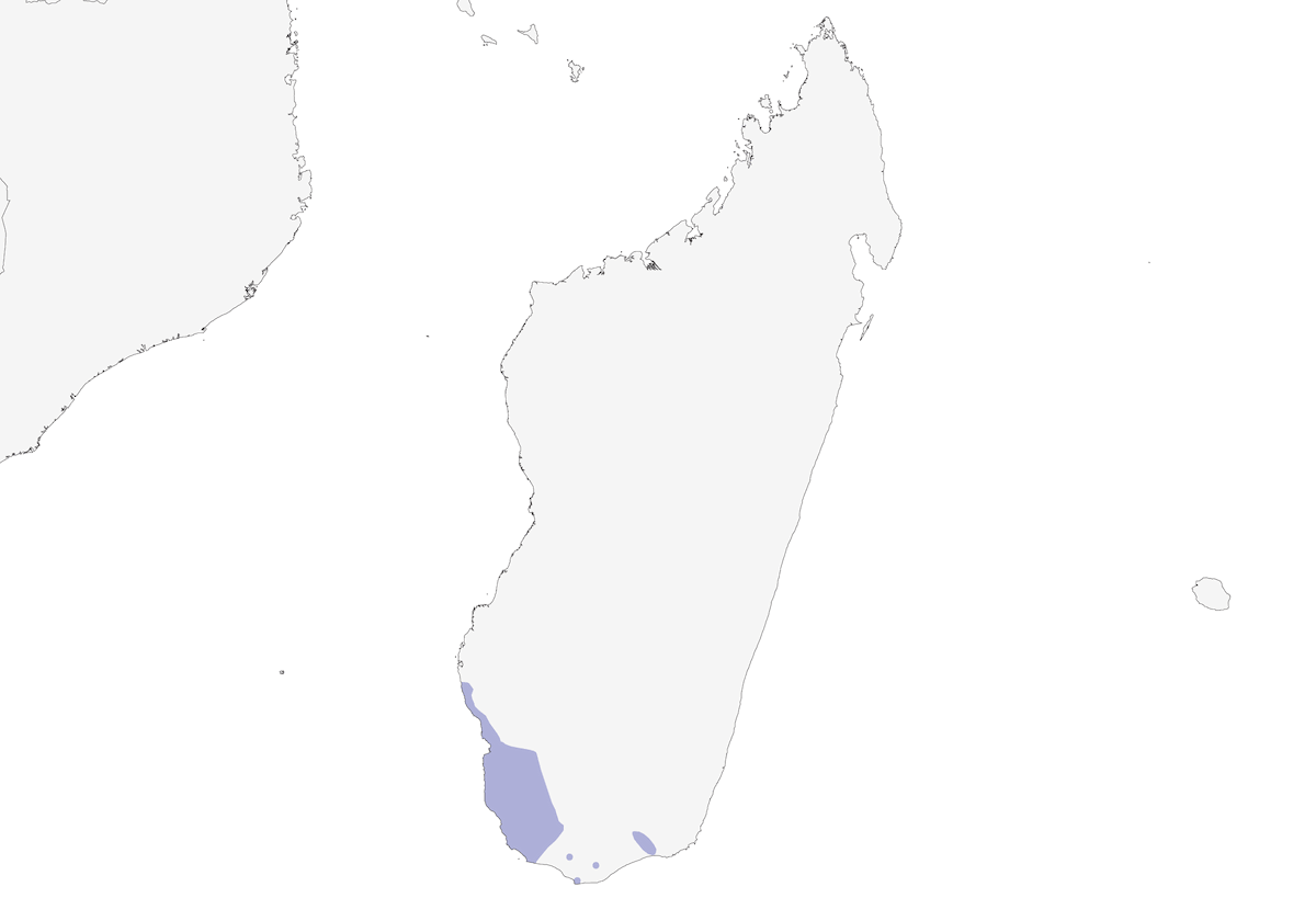 Verreaux's Coua, Distribution 1