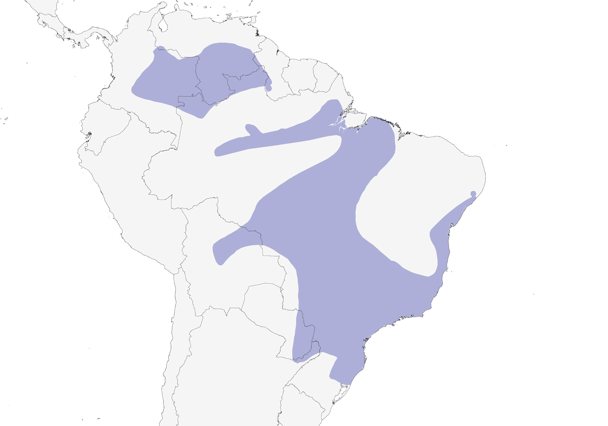 Versicolored Emerald, Distribution 1