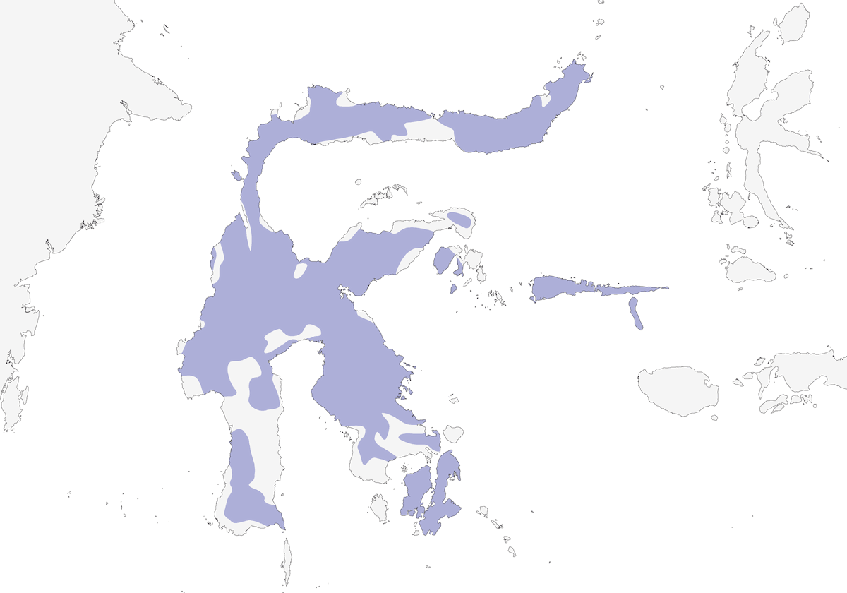 Gavilán Pechivinoso, Distribución 1