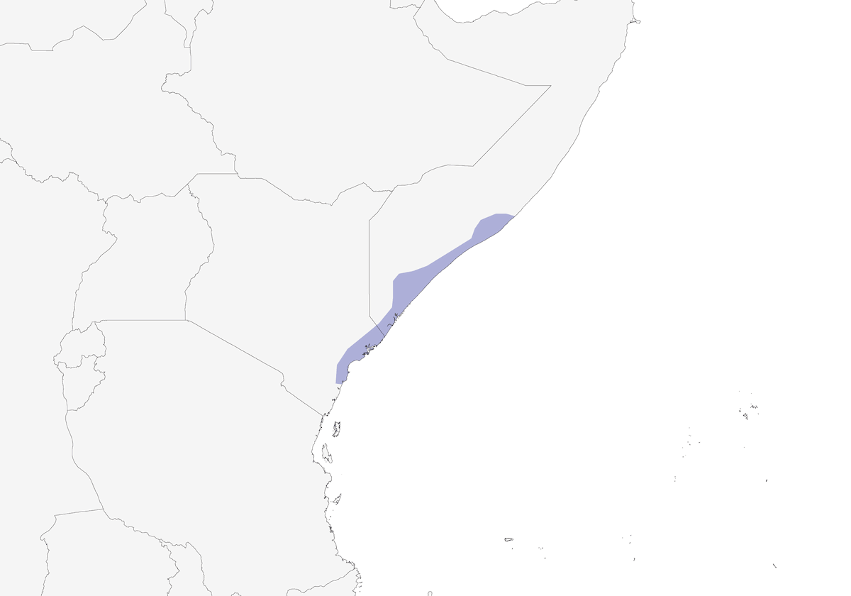 Nettarinia pettoviola, Distribuzione 1