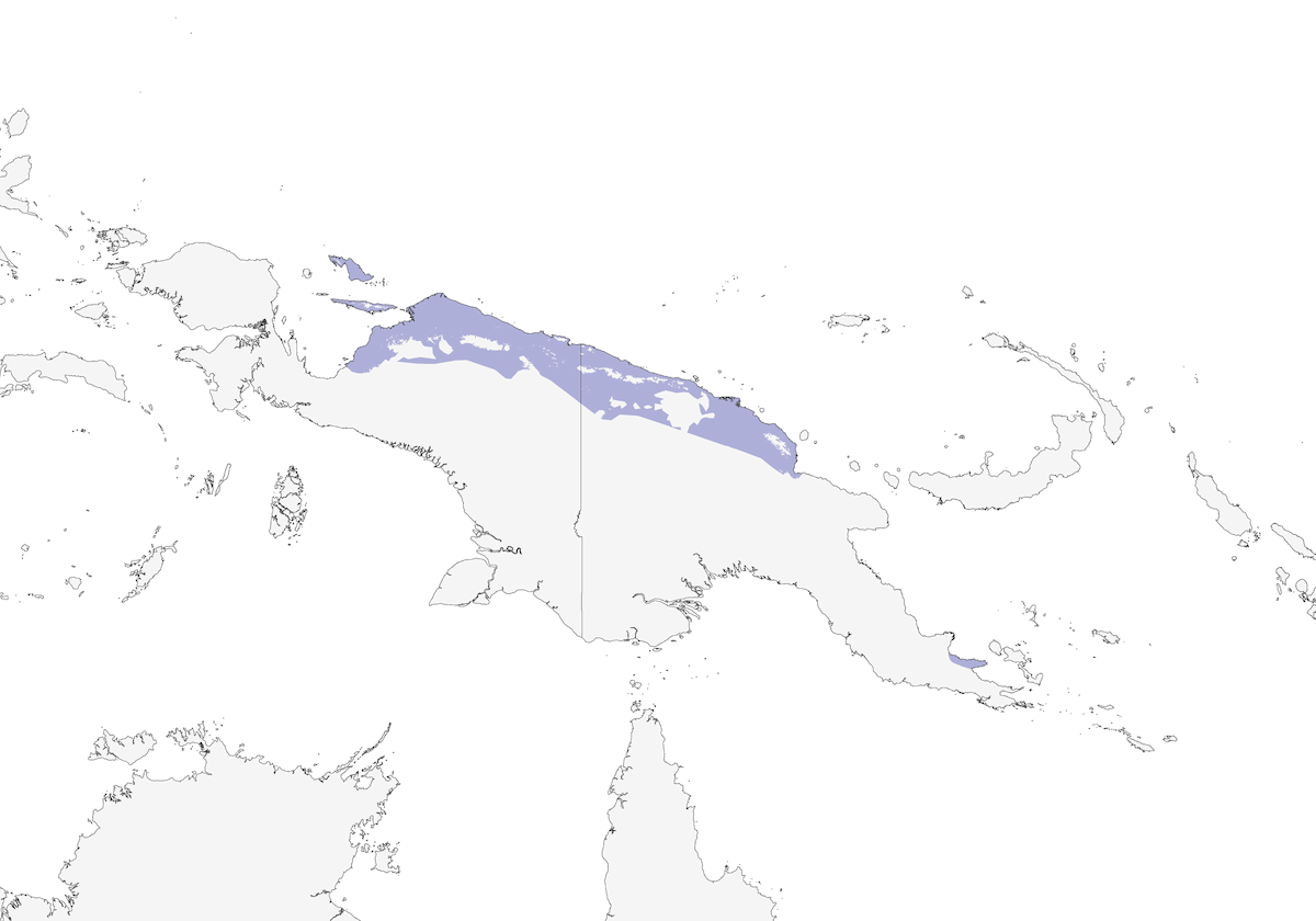 Gura di Victoria, Distribuzione 1
