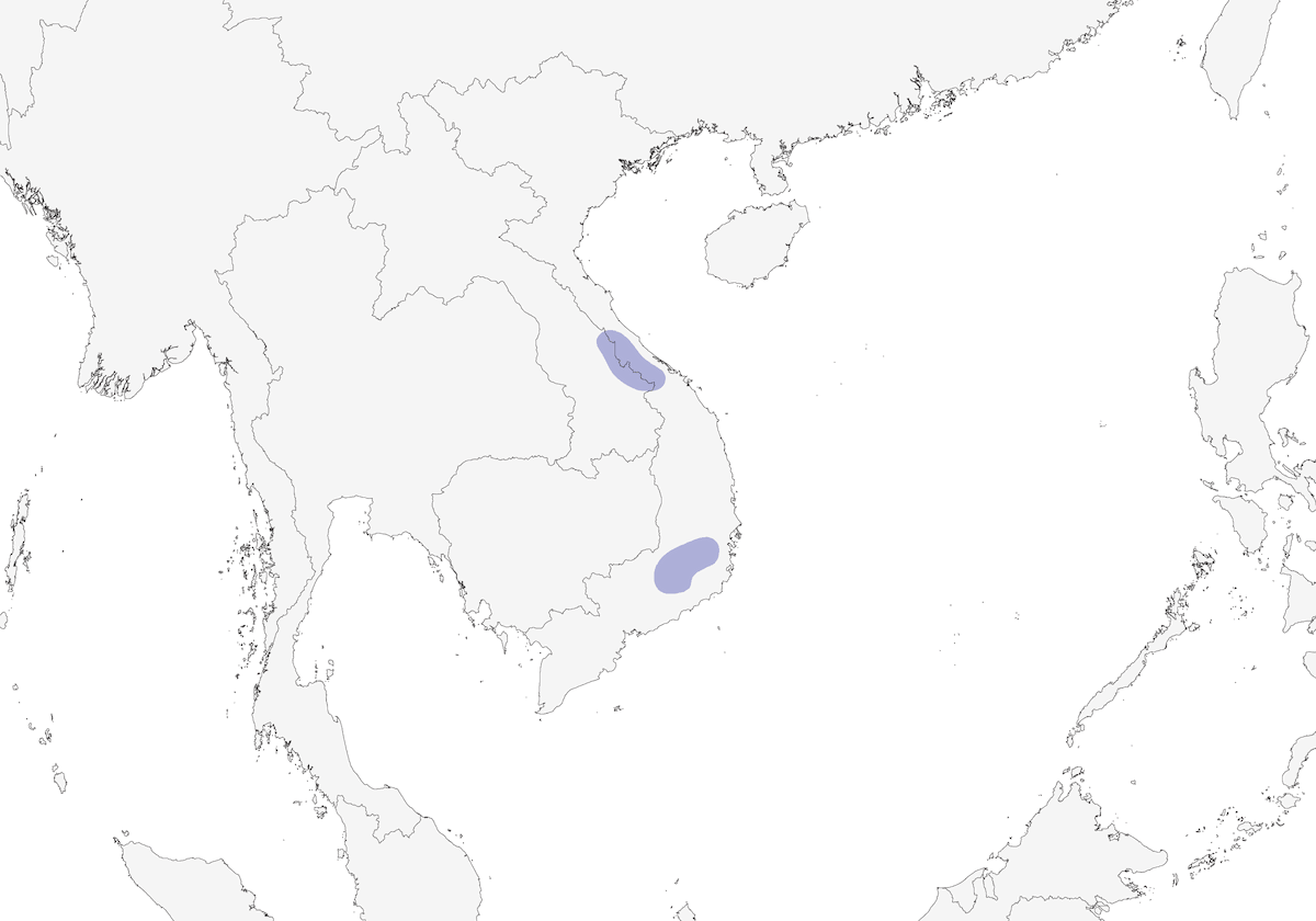 Vietnamese Cutia, 分布 1