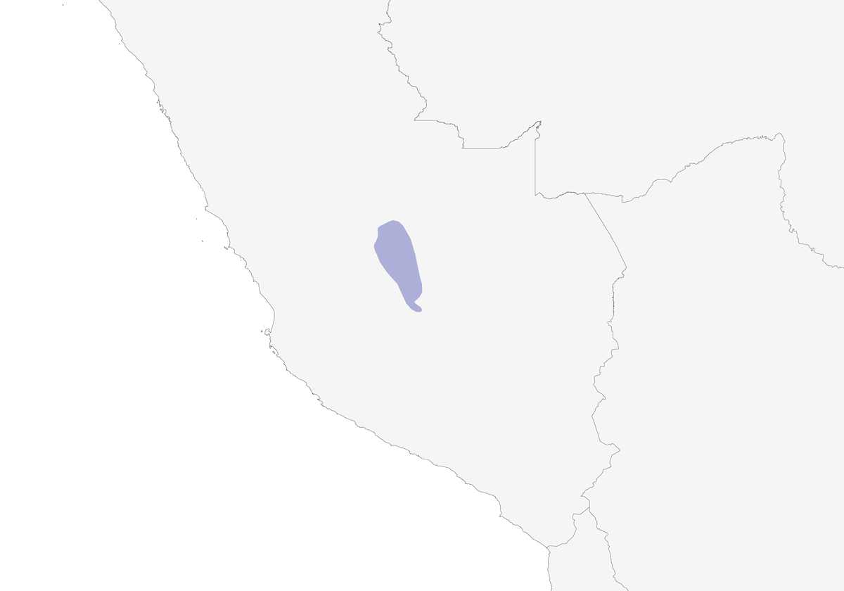 Codaspinosa di Vilcabamba, Distribuzione 1