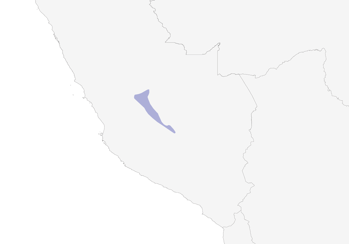 Spinifron d'Ayacucho, Distribution 1
