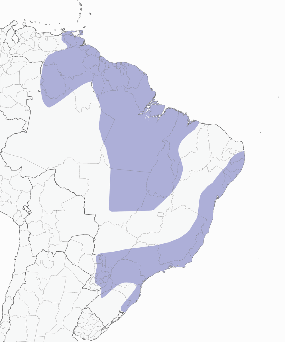 Eufonia violacea, Distribuzione 1