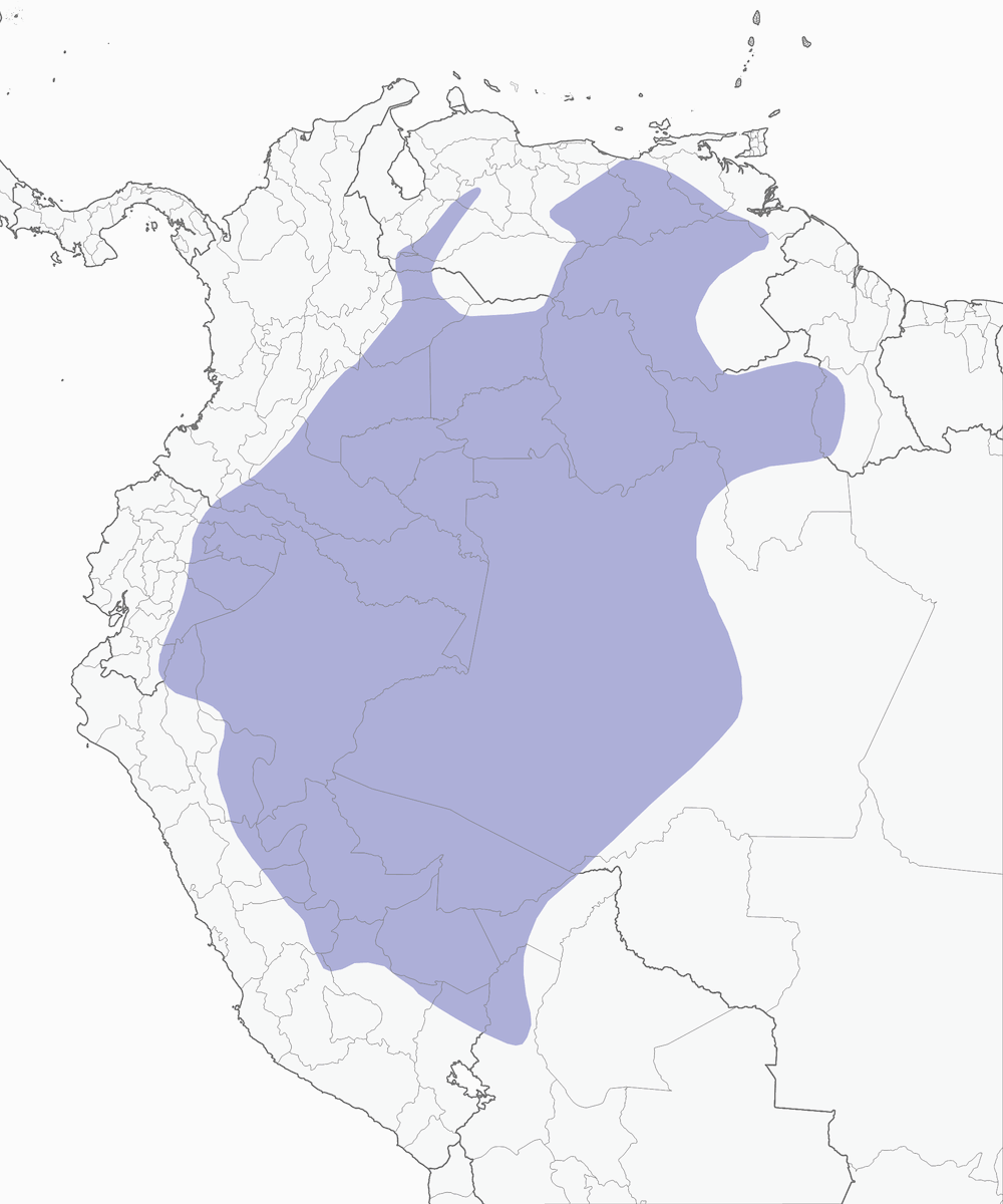 Chara Violácea, Distribución 1