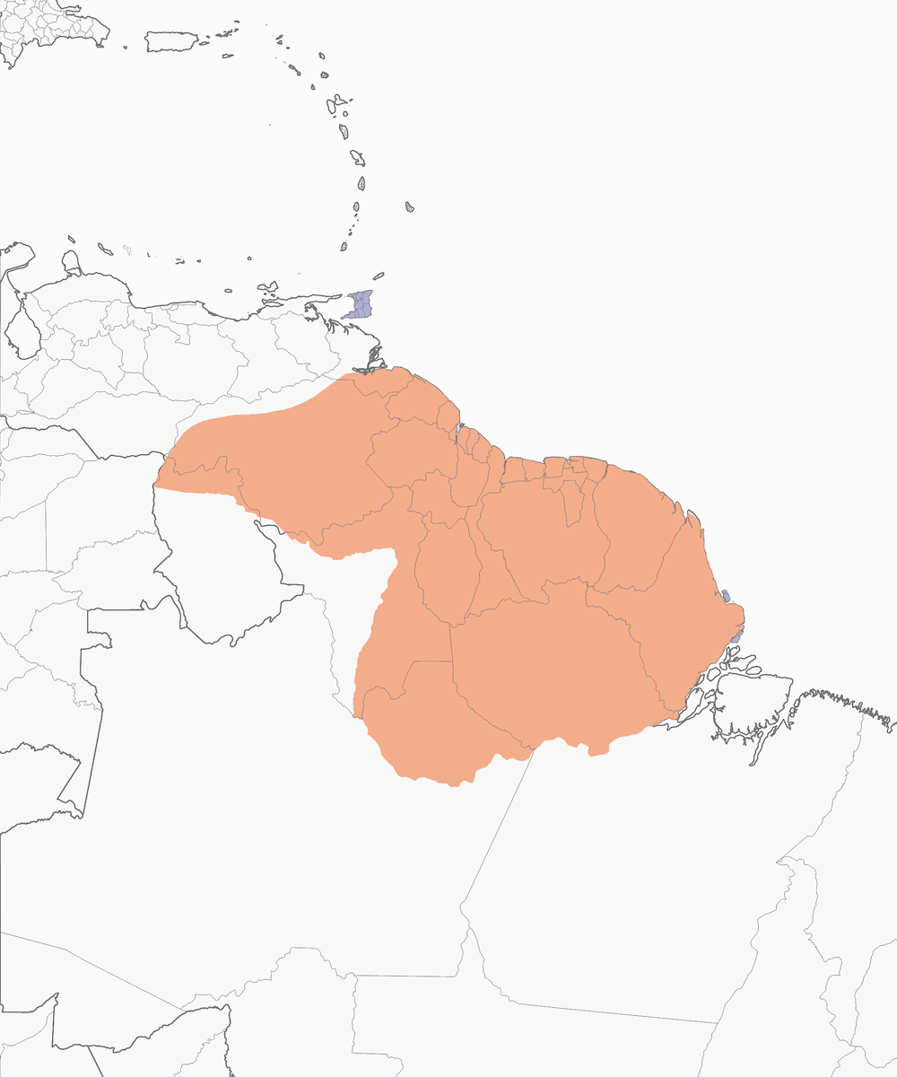 Trogon de la Guyane, Distribution 1