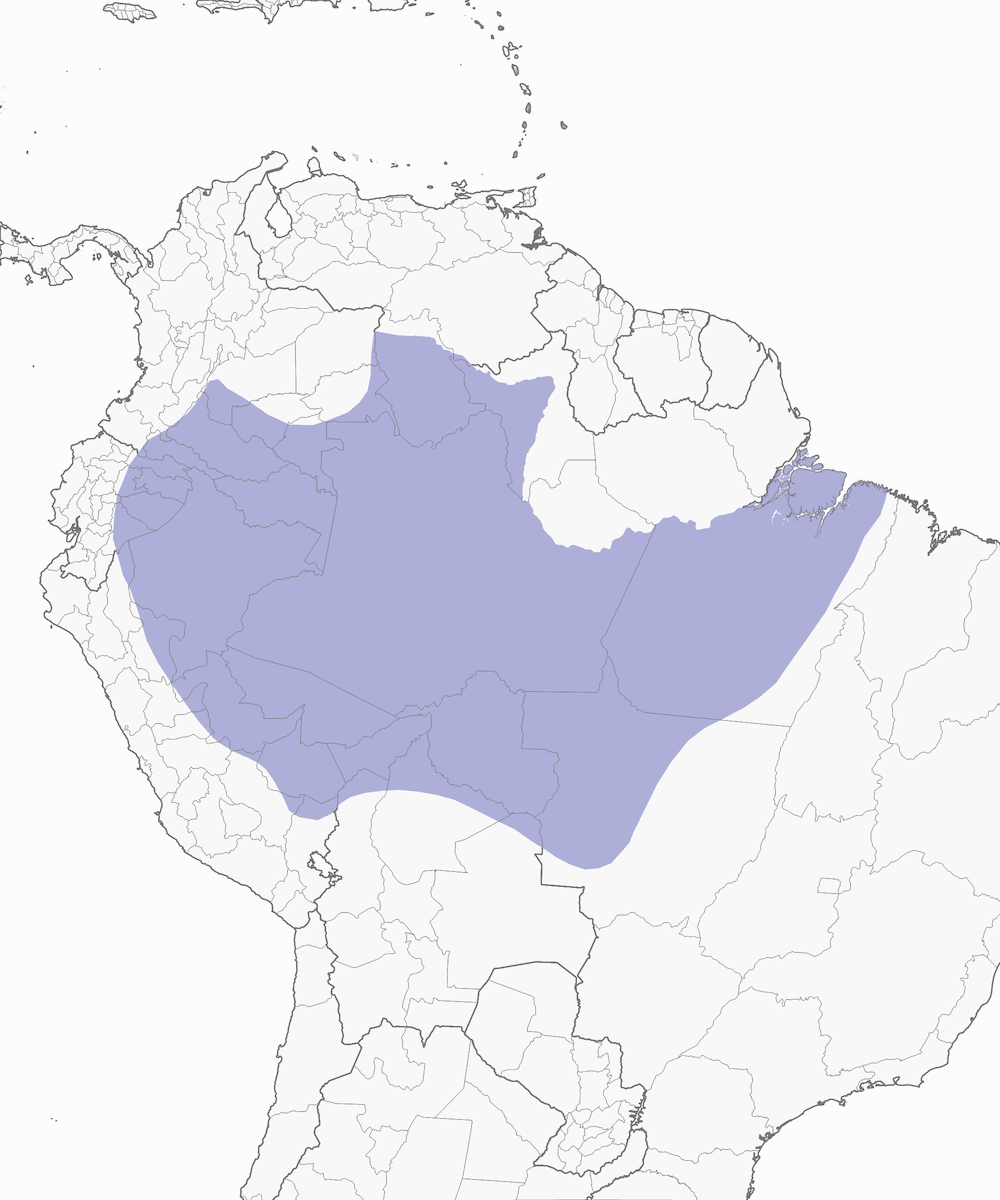 Amazonian Trogon, 分布 1
