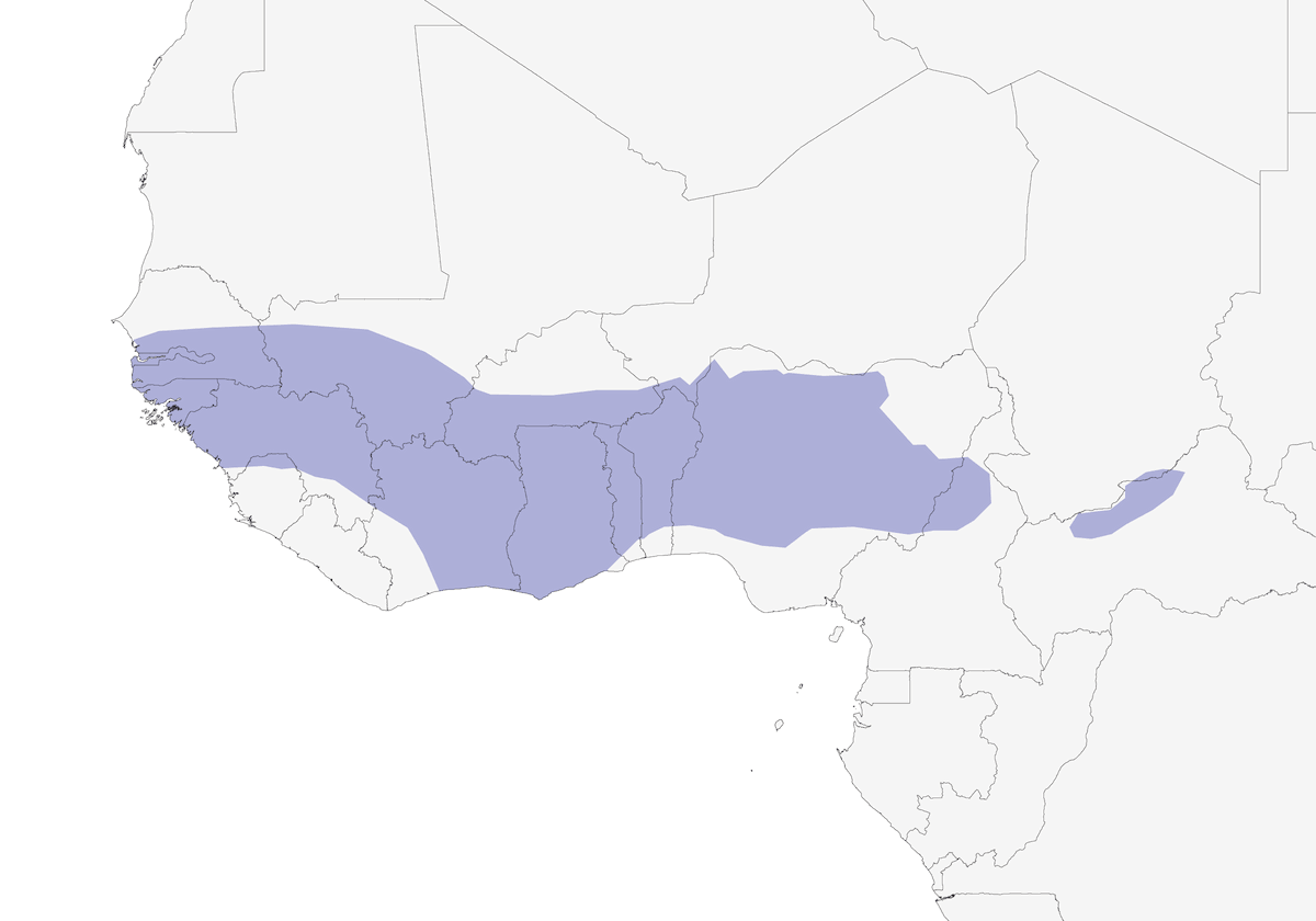 Touraco violet, Distribution 1