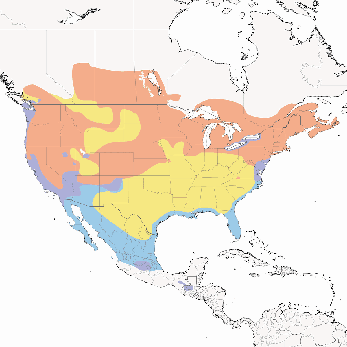 Rallo della Virginia, Distribuzione 1