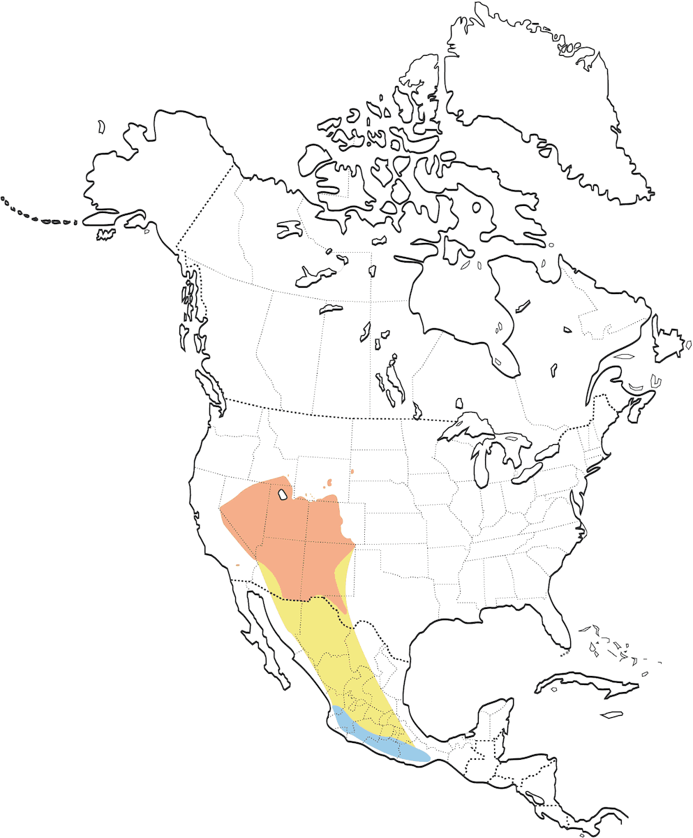 Virginia's Warbler, Distribution 1