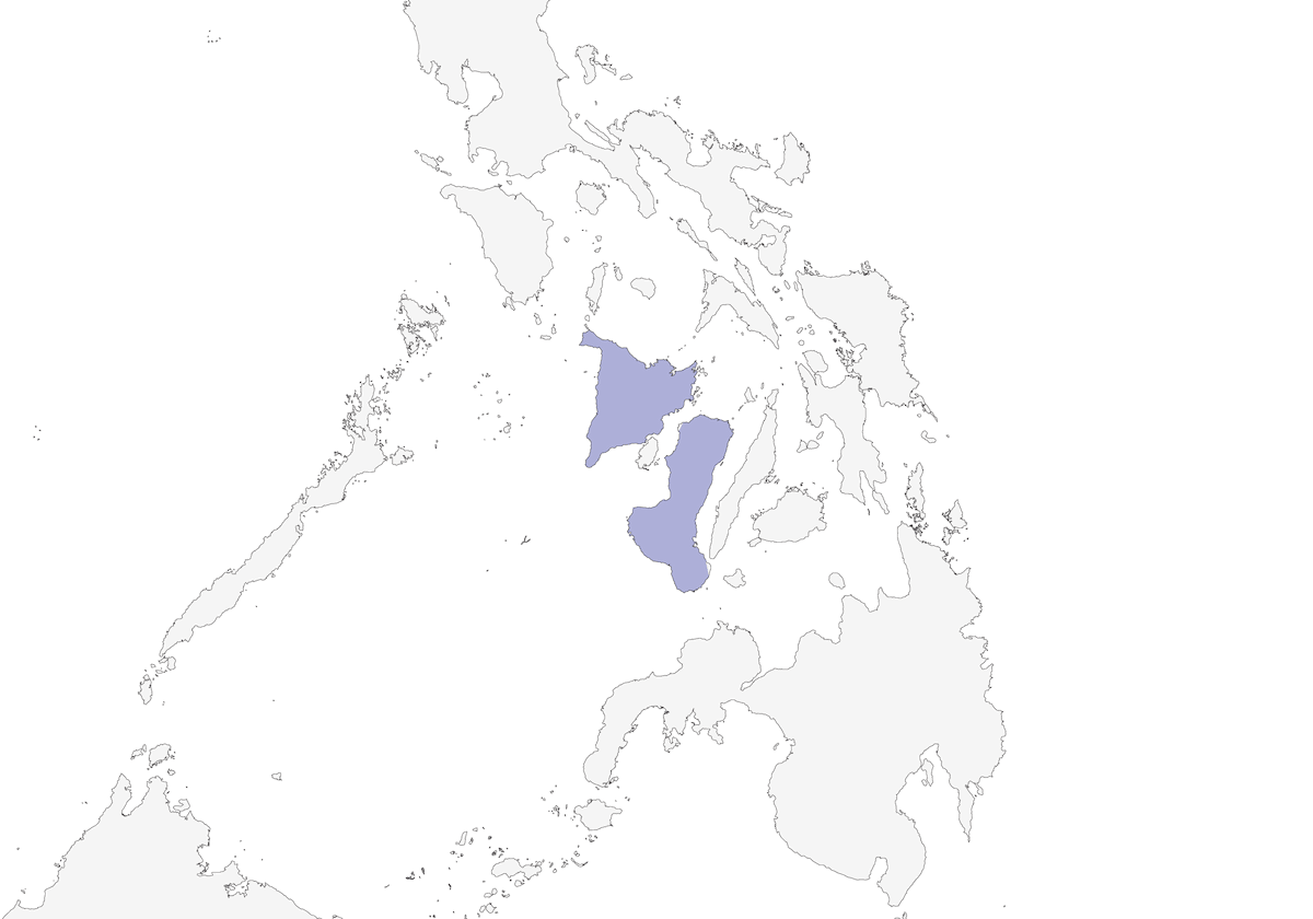 Rabdornide delle Visayan, Distribuzione 1