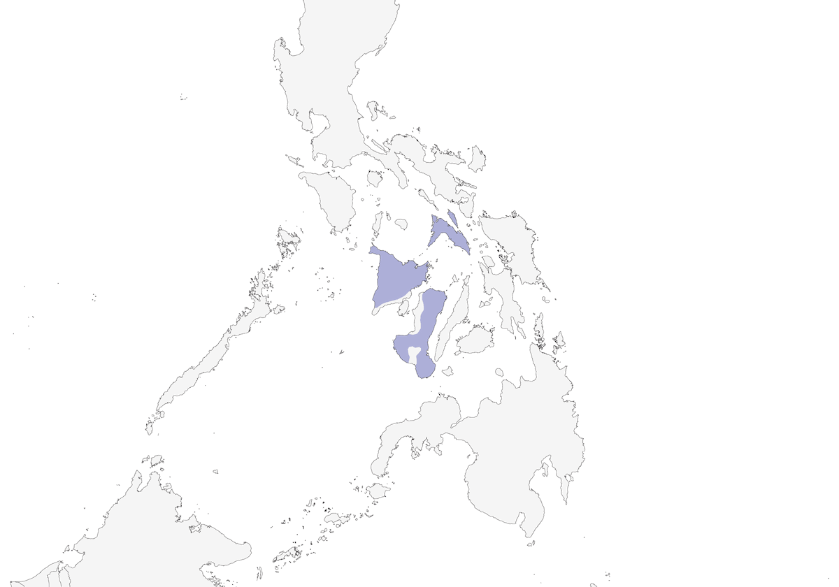Visayas-Schama, Verbreitung 1