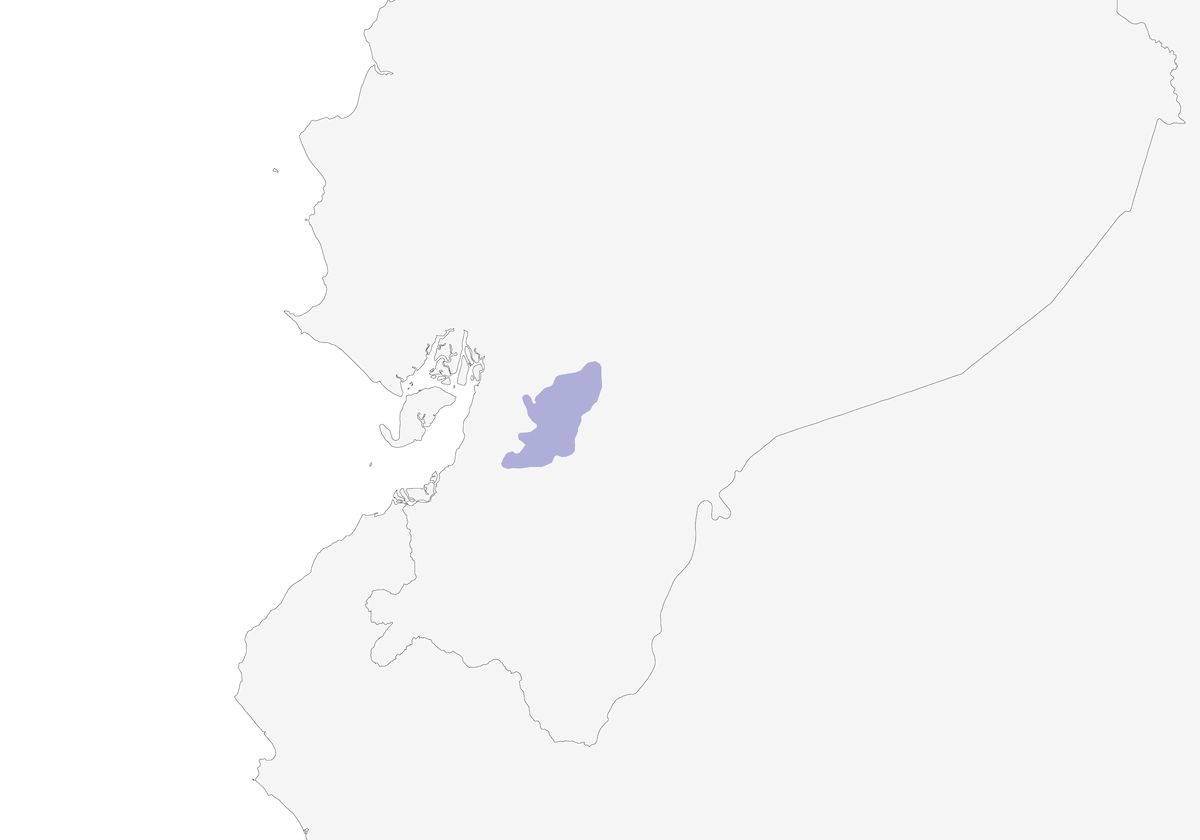 Metalura Gorjivioleta, Distribución 1