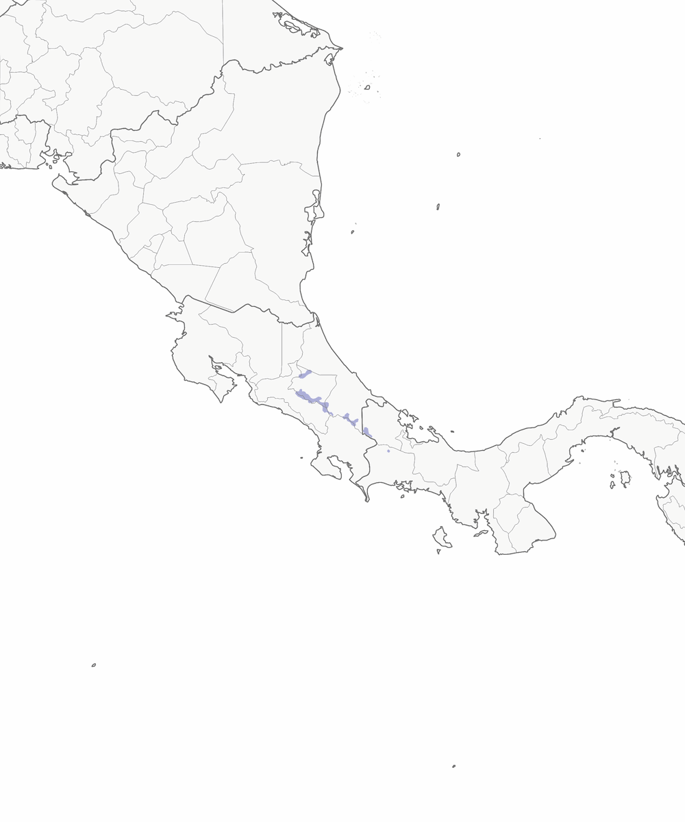Junco del vulcano, Distribuzione 1