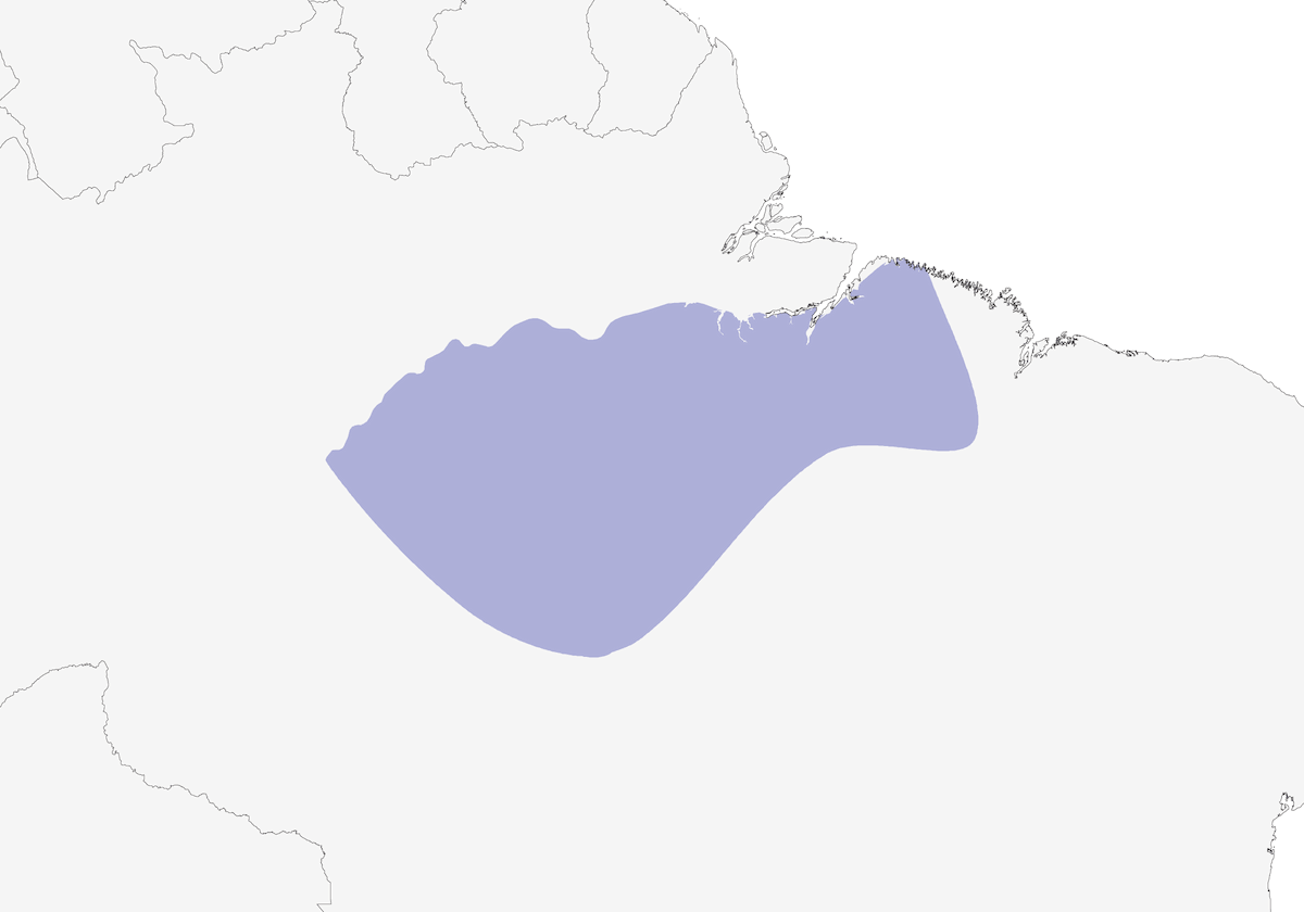 Vulturine Parrot, Distribution 1