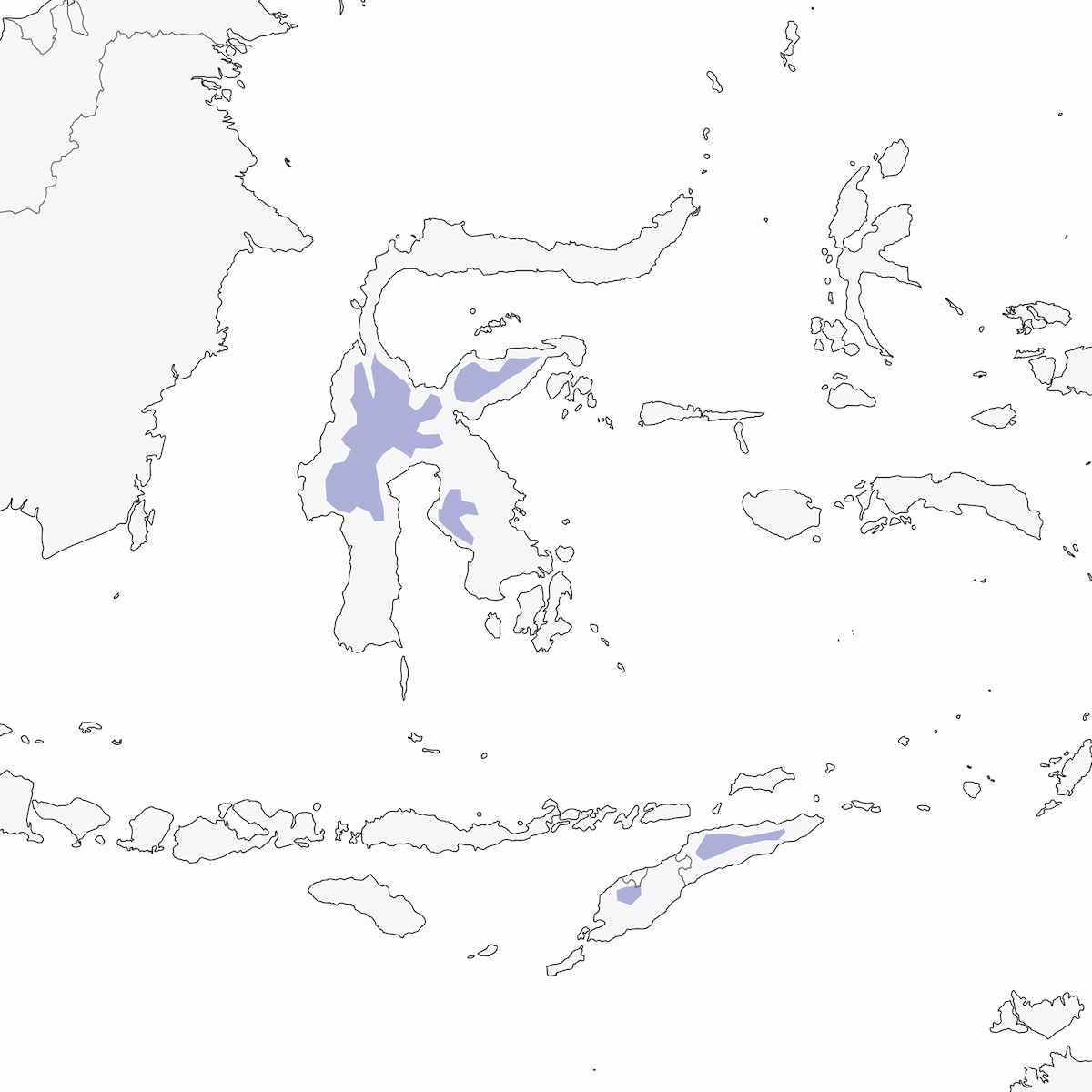 Wallacean Island-Thrush, Distribution 1