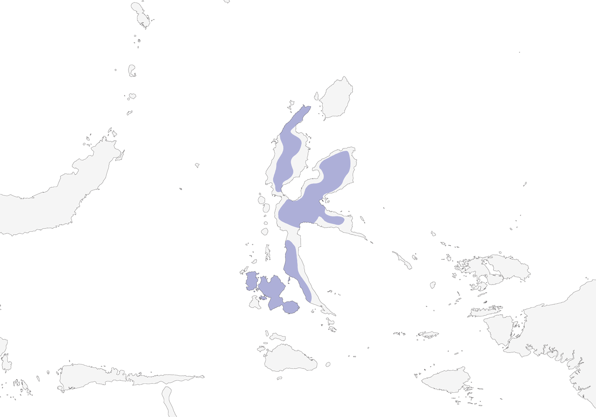 Ave del Paraíso de Wallace, Distribución 1