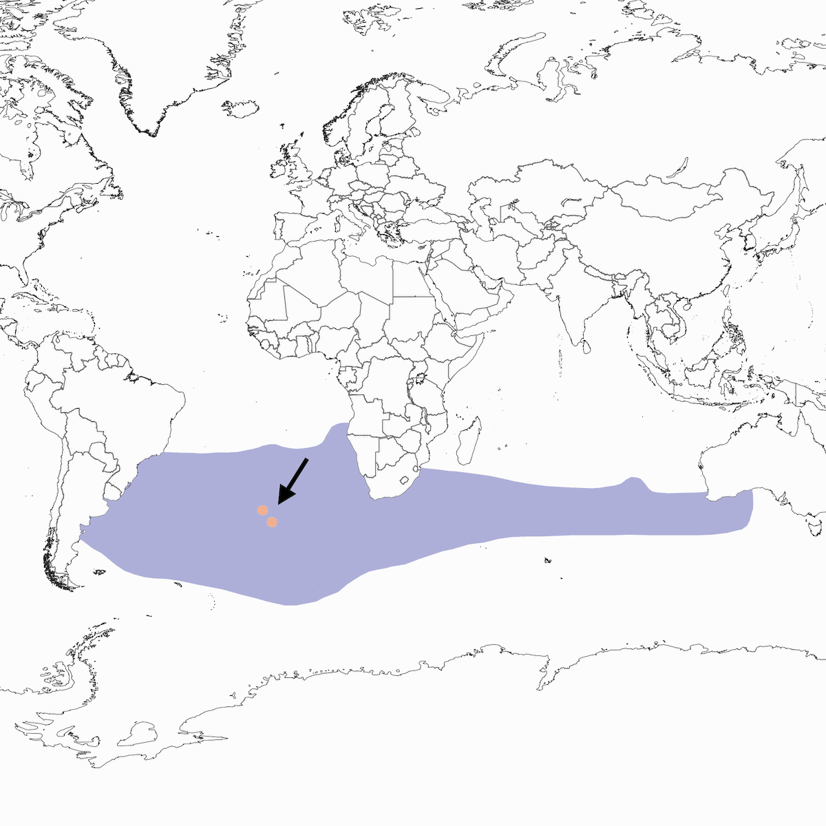Tristan Albatross, 分布 1