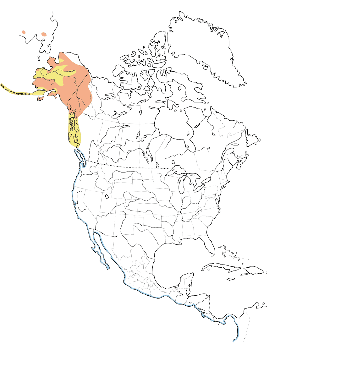 Totano vagabondo, Distribuzione 1