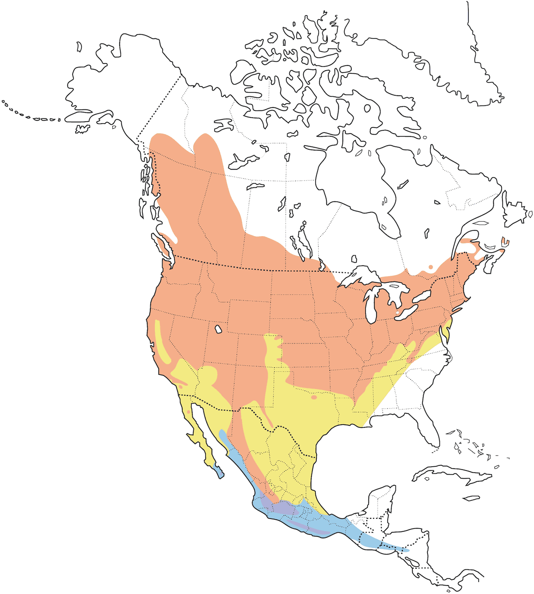 Vireo Gorjeador, Distribución 1