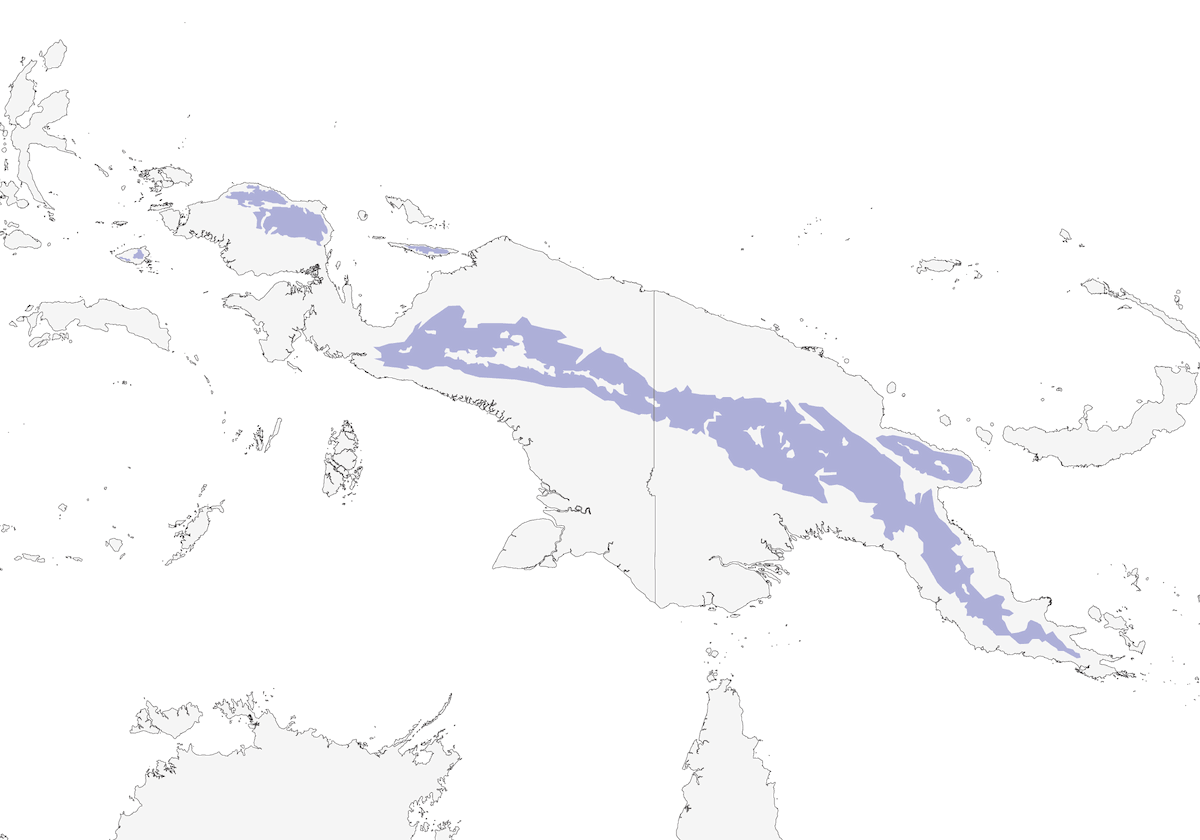 Talégalo de Latham, Distribución 1