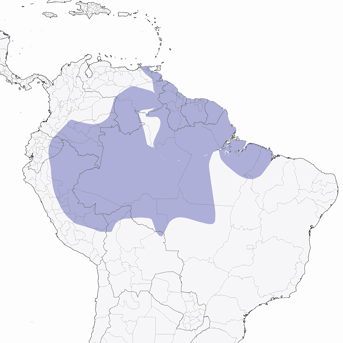 Picchio ondulato, Distribuzione 1