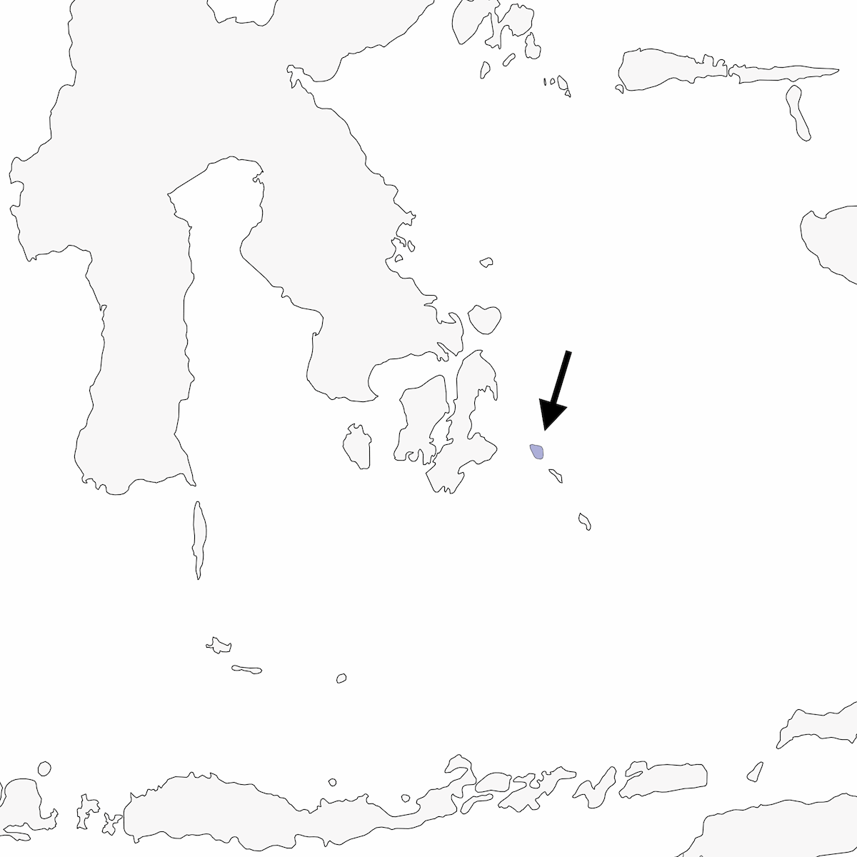 Anteojitos de Wangi-wangi, Distribución 1