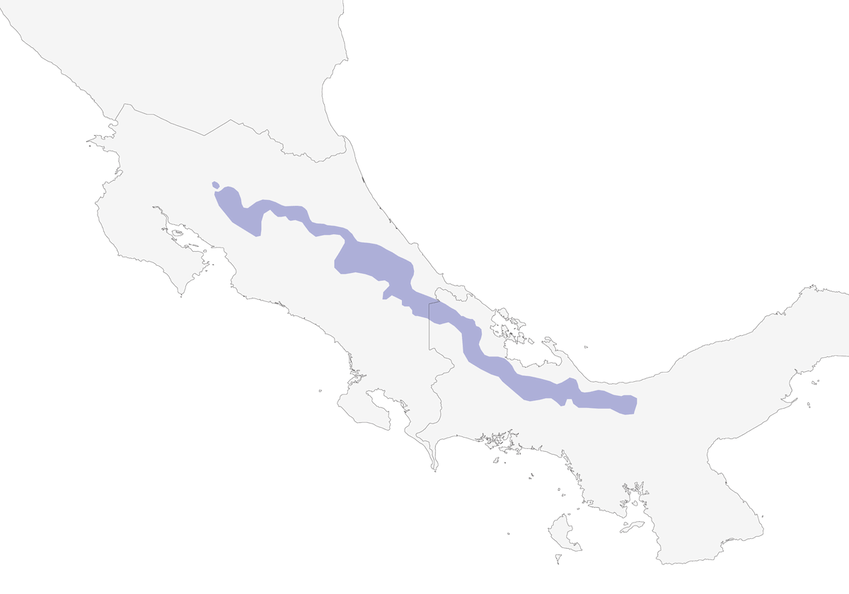 White-bellied Mountain-gem, Distribution 1