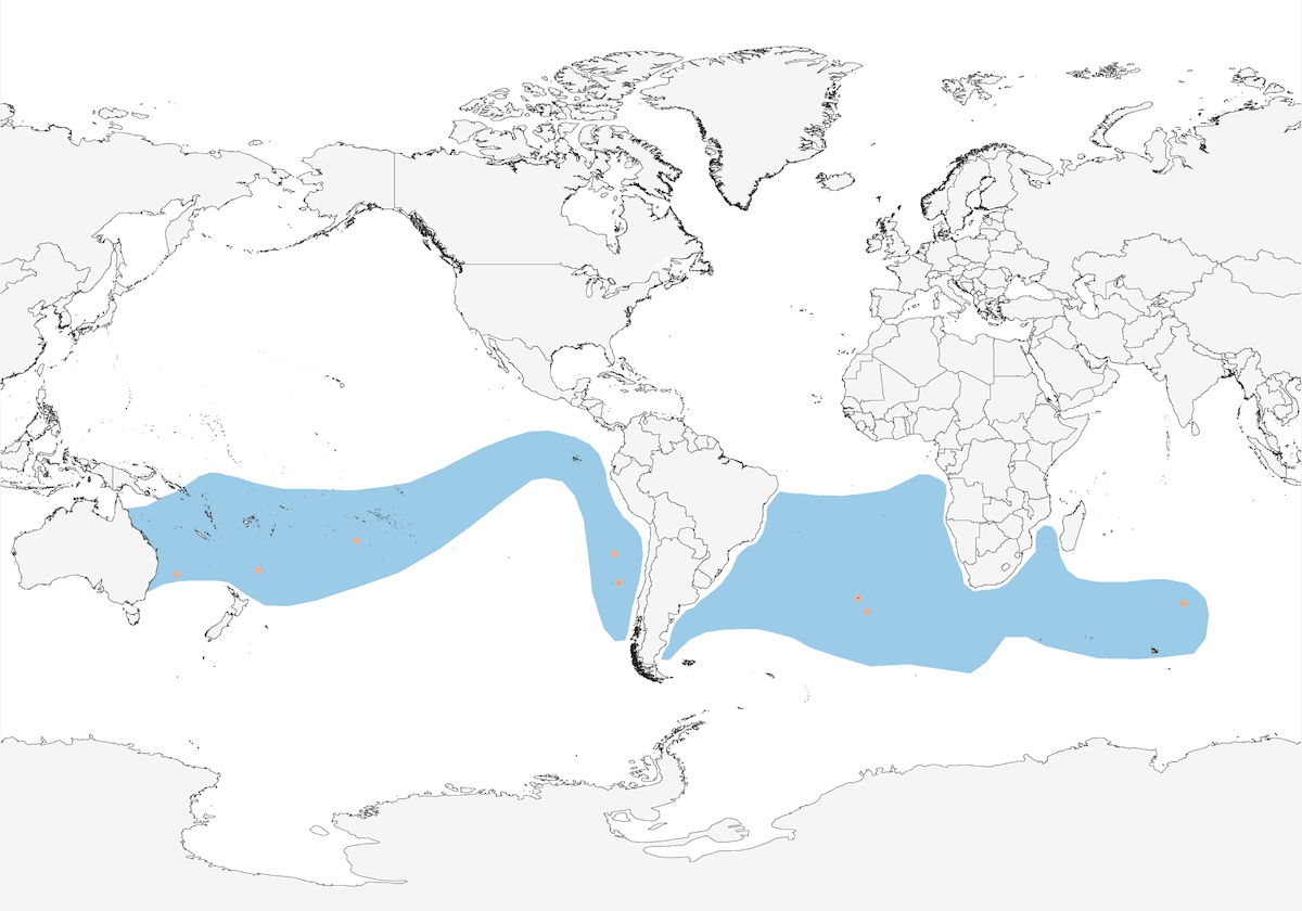 Petrello delle tempeste ventrebianco, Distribuzione 1