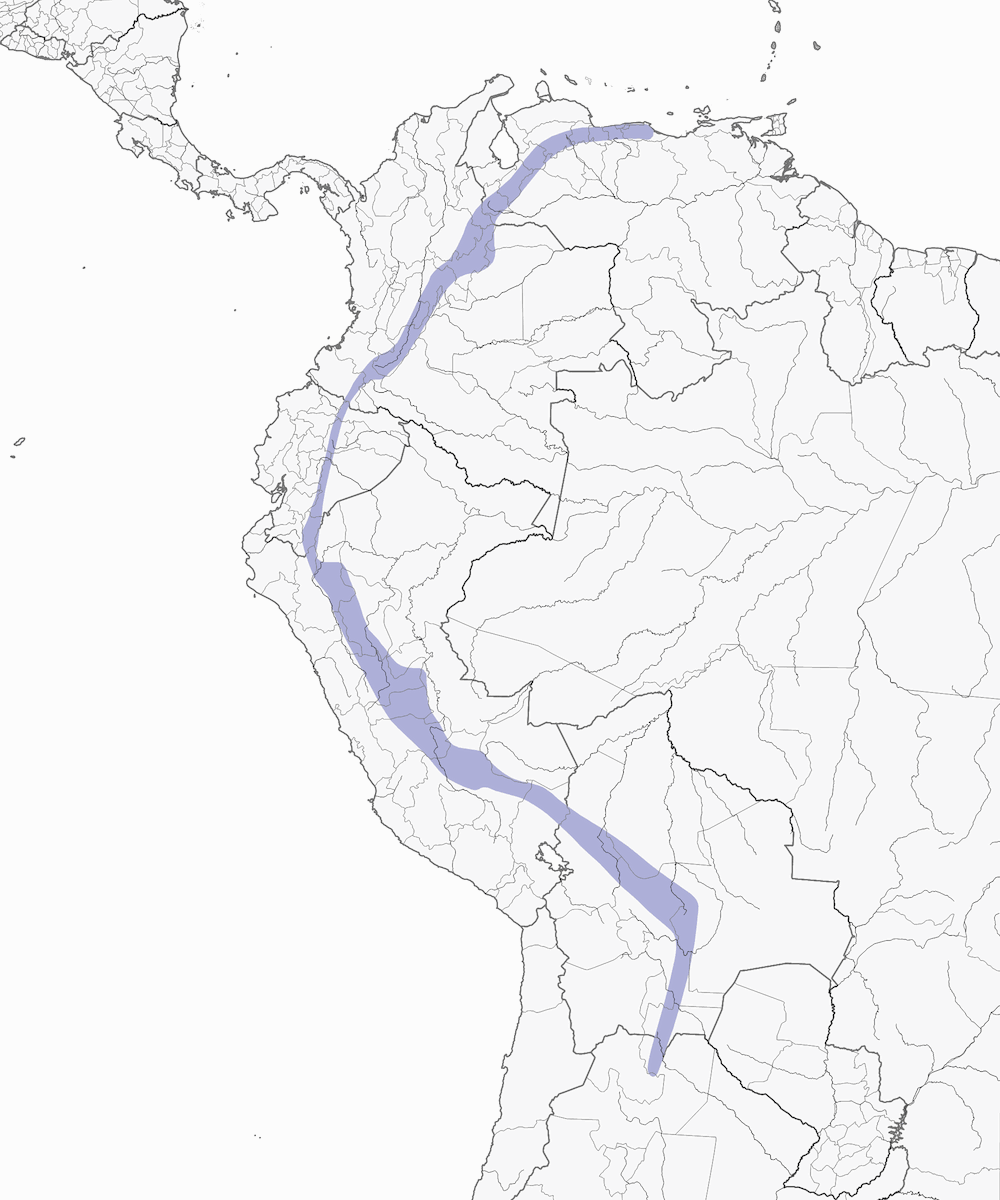 Geoffroy's Daggerbill, Distribution 1