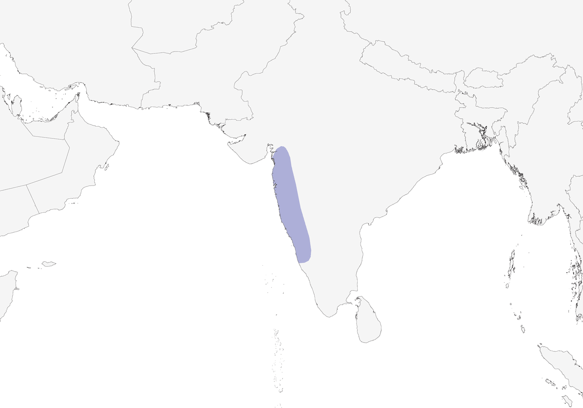 Nettarinia di Vigors, Distribuzione 1