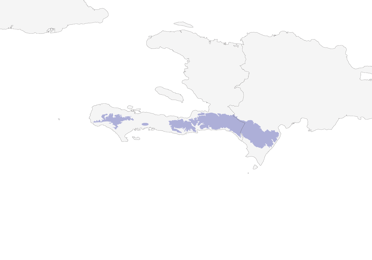 Tangara chat occidentale, Distribuzione 1