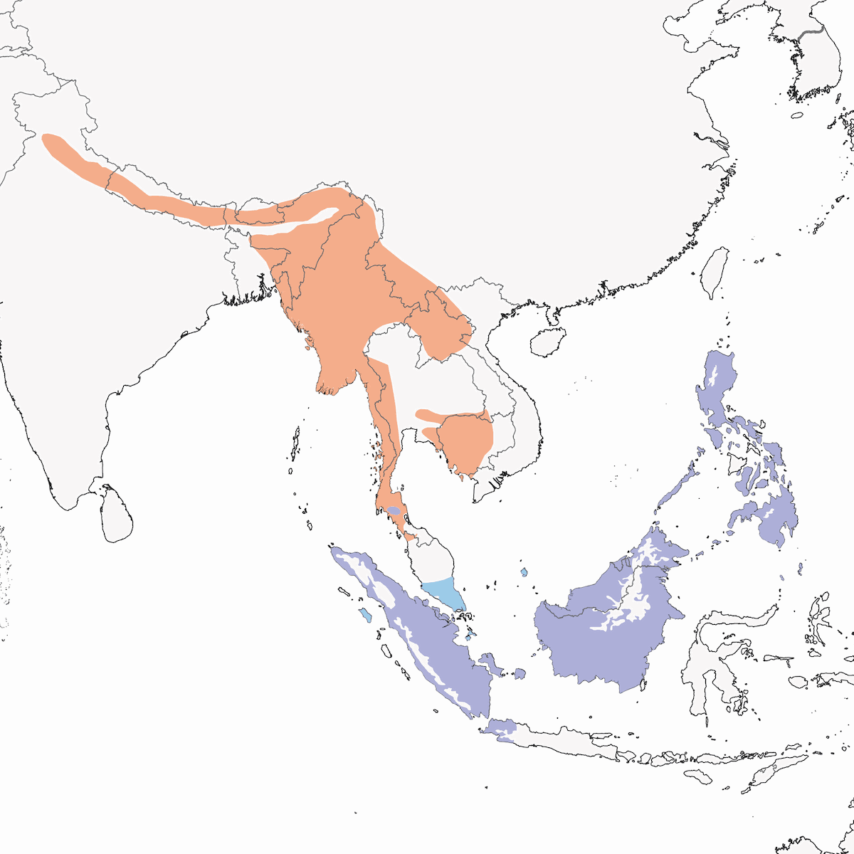 Western Hooded Pitta, Distribution 1