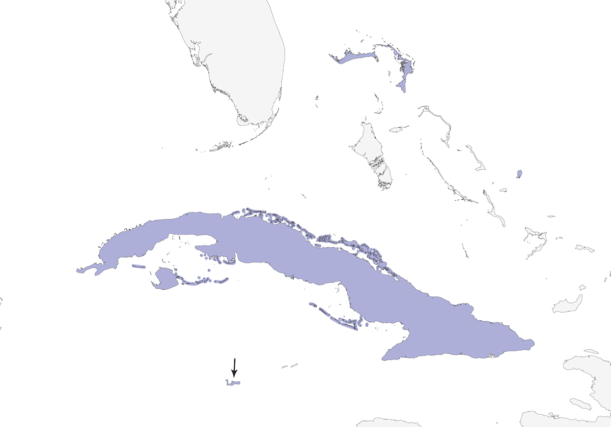 Picamaderos de las Antillas, Distribución 1