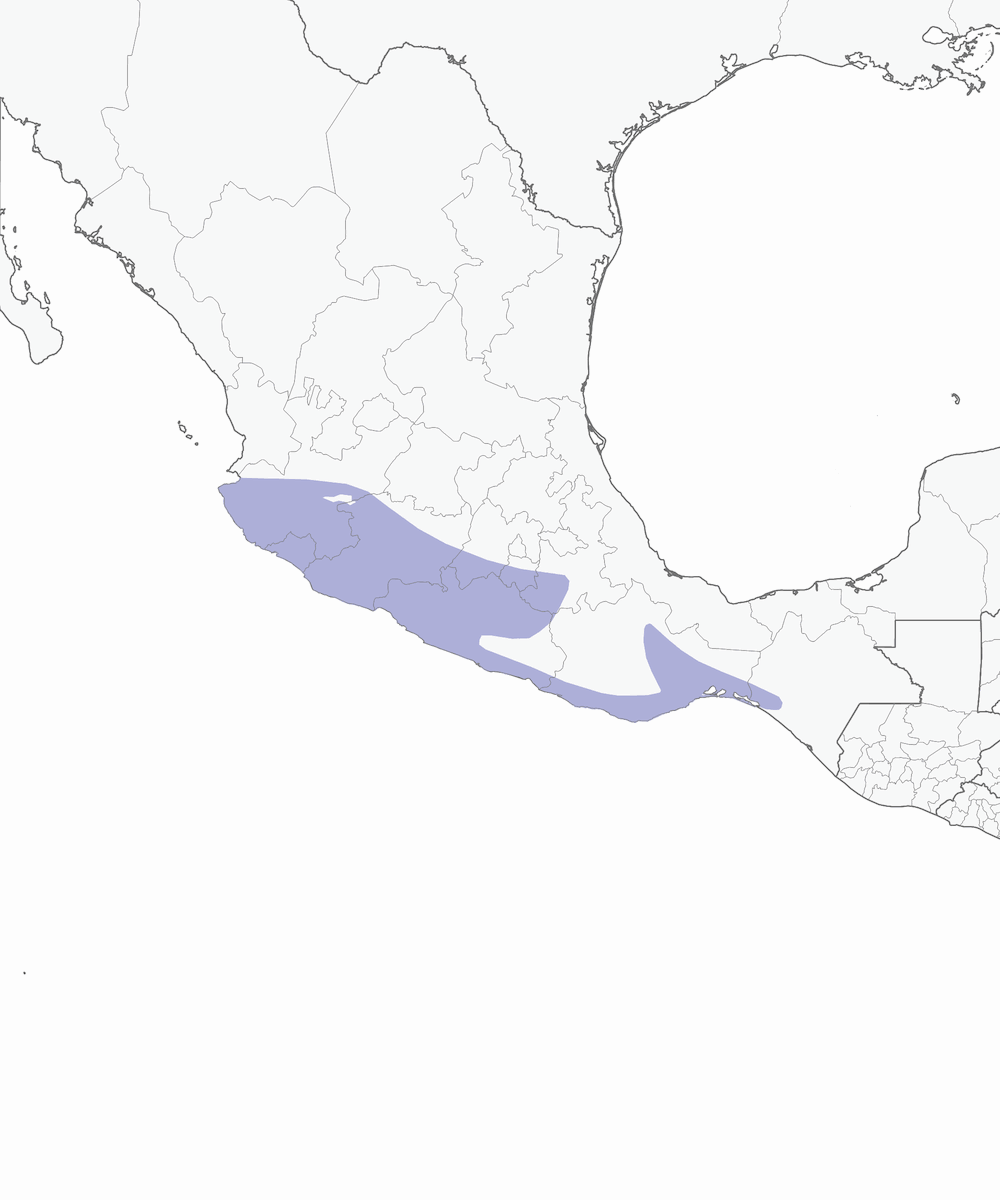 Chachalaca cabecigrís, Distribución 1