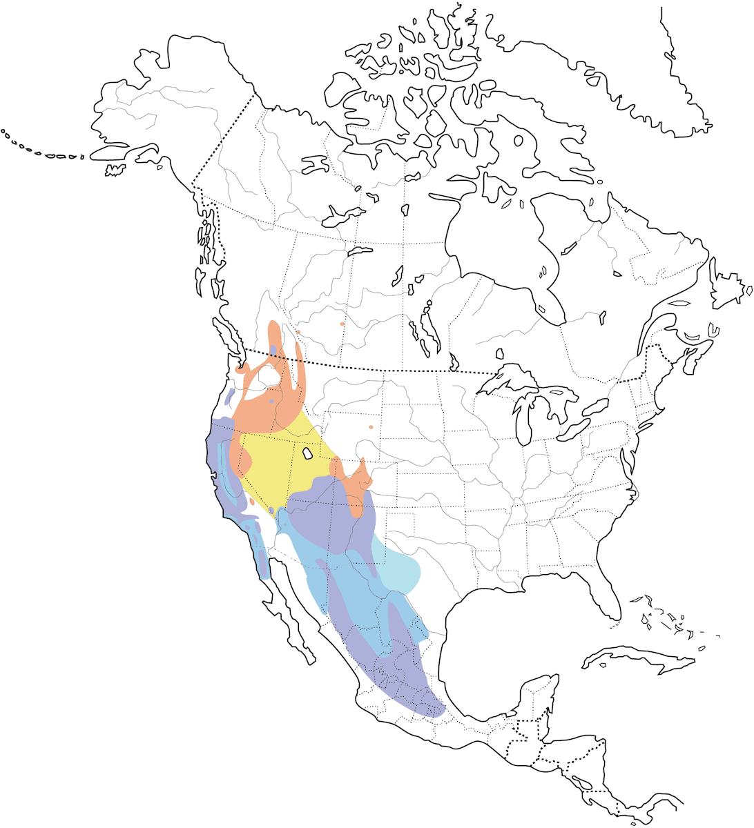 Western Bluebird, Distribution 1