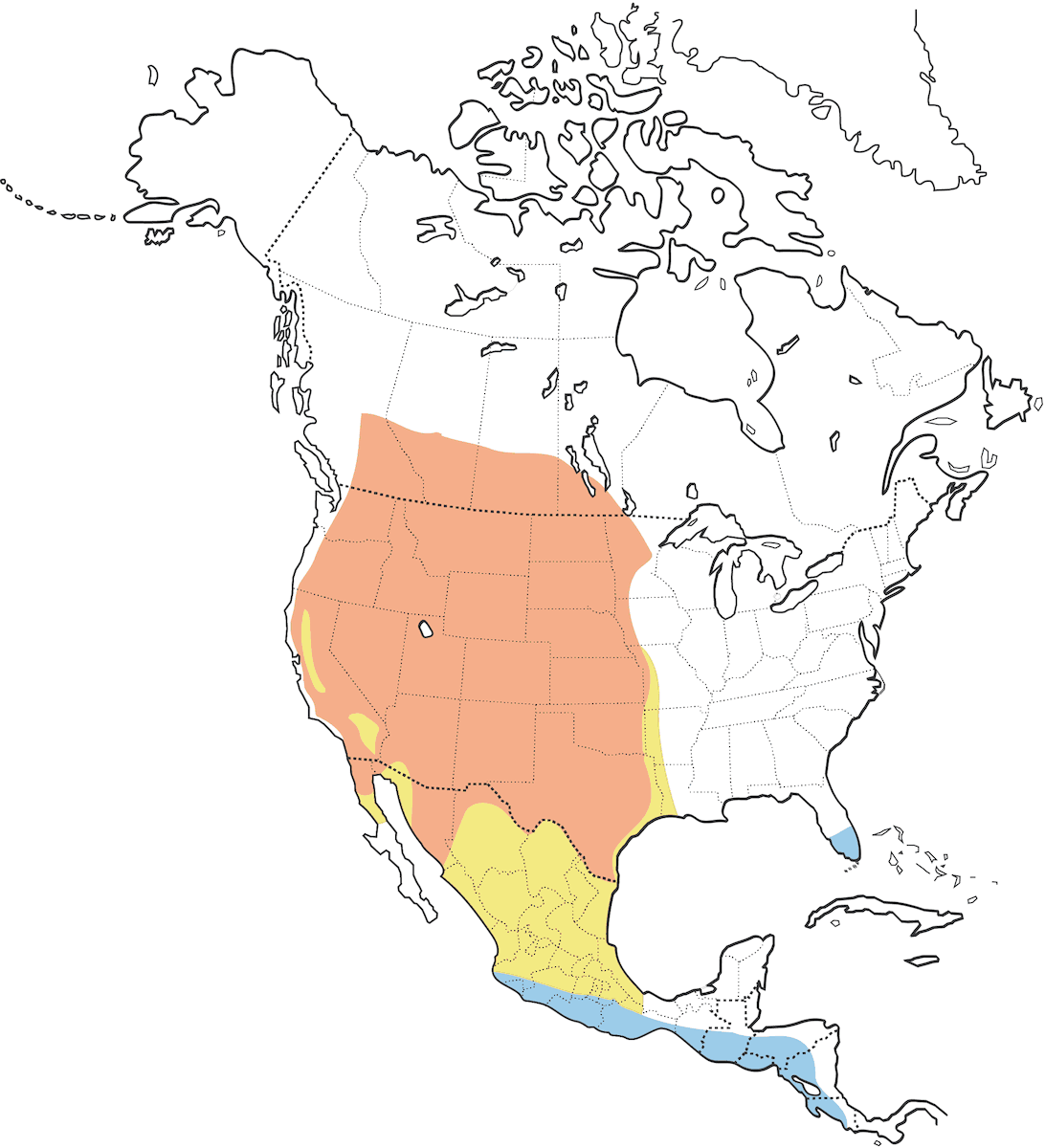 Tirano Occidental, Distribución 1