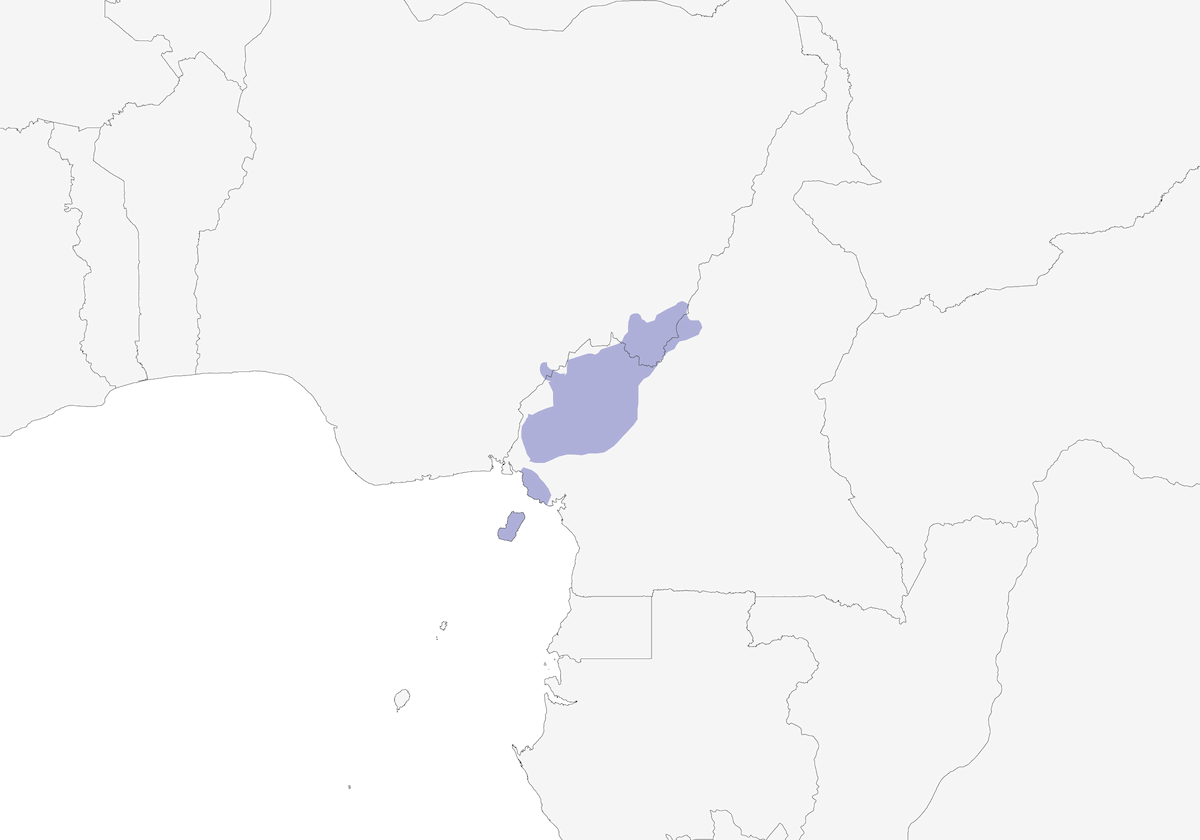 Bulbul di montagna occidentale, Distribuzione 1
